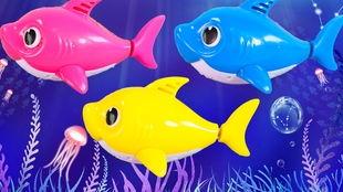 小鲨鱼成人玩具图片视频,小鲨鱼系列产品图鉴与视频解析