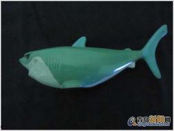 小鲨鱼成人玩具图片视频,小鲨鱼系列产品图鉴与视频解析