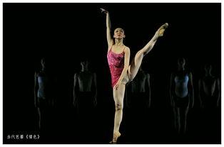 成人搞笑芭蕾视频,成人搞笑芭蕾，笑翻你的芭蕾时光