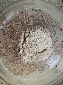 成人早餐米糊制作视频