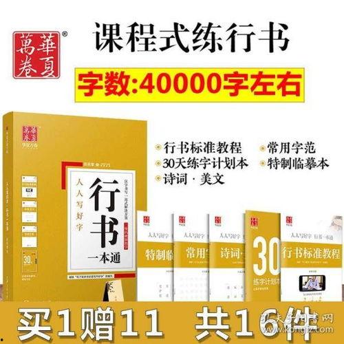 练字视频成人女生字体,优雅字体魅力展现