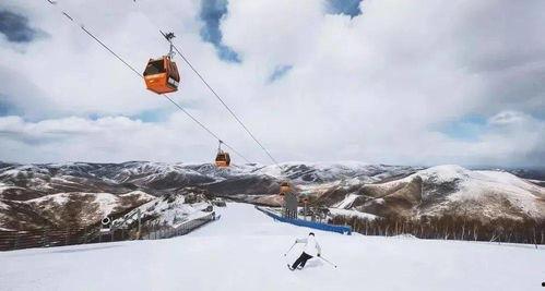 成人学滑雪视频教学全集