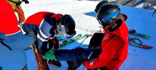 成人学滑雪视频教学全集