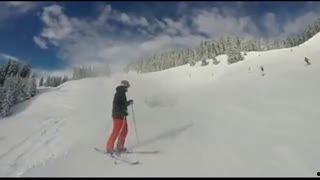 成人学滑雪视频教学全集