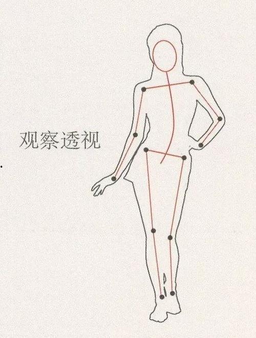 成人简单速写视频教程,跟随视频教程轻松掌握绘画技巧